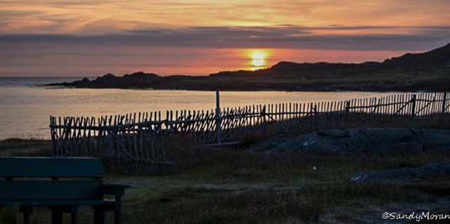 11986462_941036522612294_5445447400356516486_n