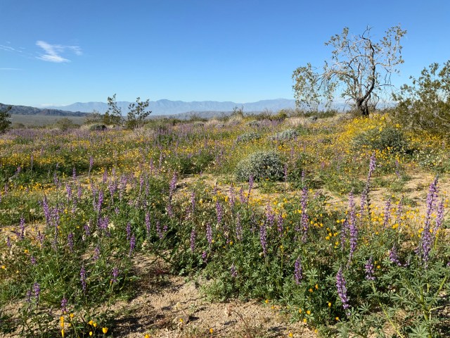 2FC26ECE-AB6A-4E2C-BAD8-4C5F08714F9A