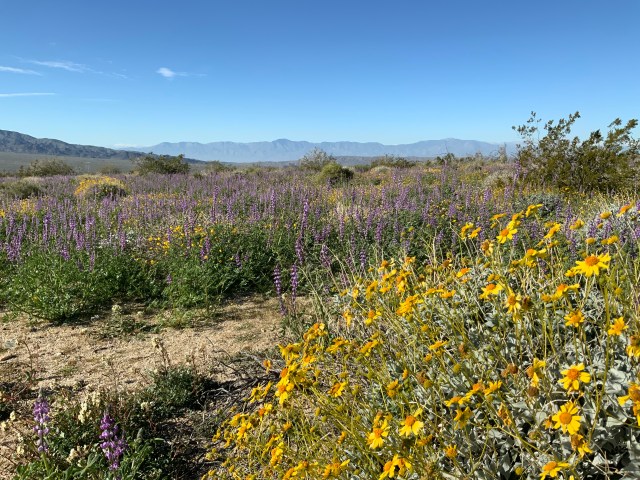 38D8342A-BB35-40BA-9F99-C480ADEBC21D