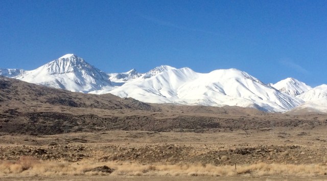 AAA80A2D-8385-4CF1-9DD7-41D7076BFA5C