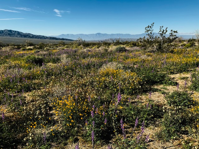 D183C9E6-24A6-4ADD-8892-43E8AB0BB9C3