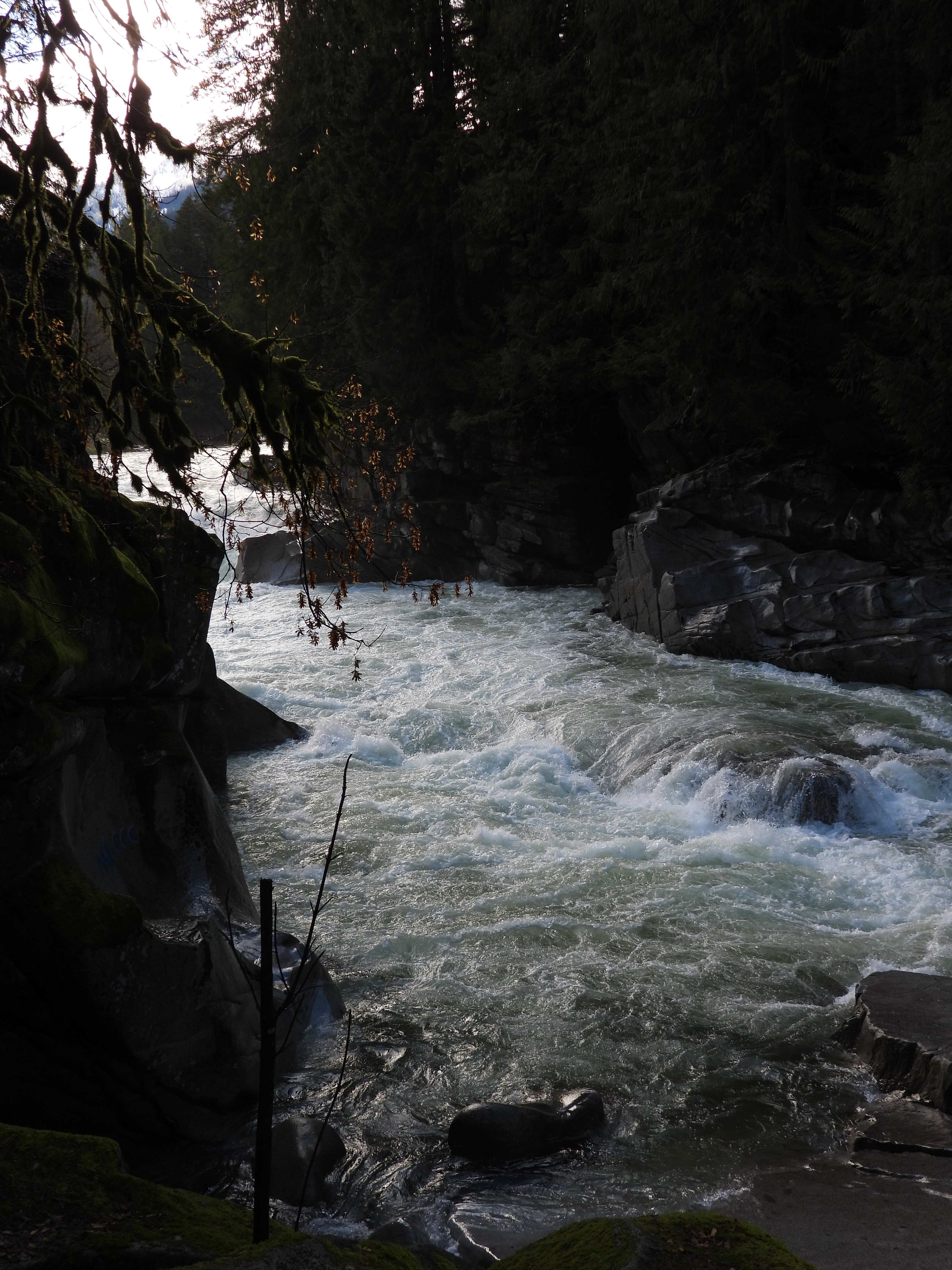 The Adventure Begins – Wandering Under the Stars